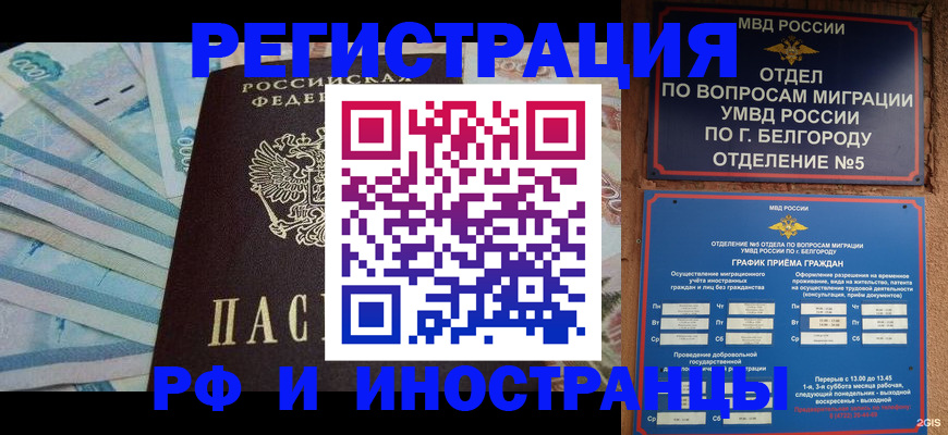 временная регистрация недорого в Щиграх