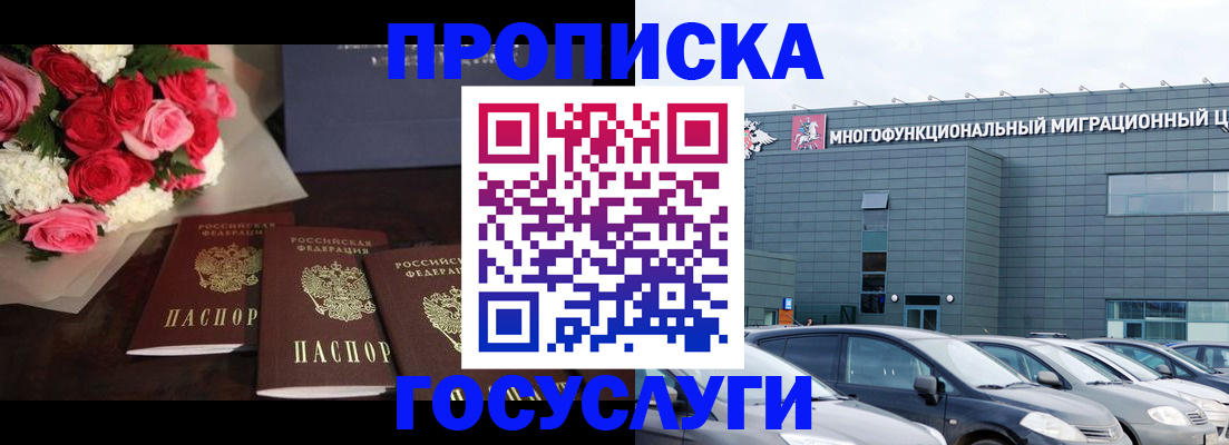 прописка законно в Щиграх